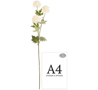 Chrysanthemum Spray Cream 68cm | Eleganza Artificial Flowers