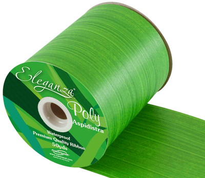 Daffodil Aspidistra Poly Ribbon 100mm x 50 yds (Eleganza) 1pc