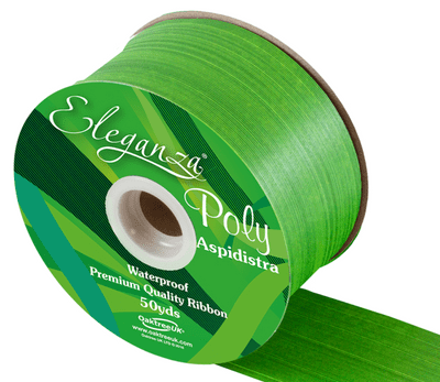 Daffodil Aspidistra Poly Ribbon 50mm x 50 yds (Eleganza) 1pc