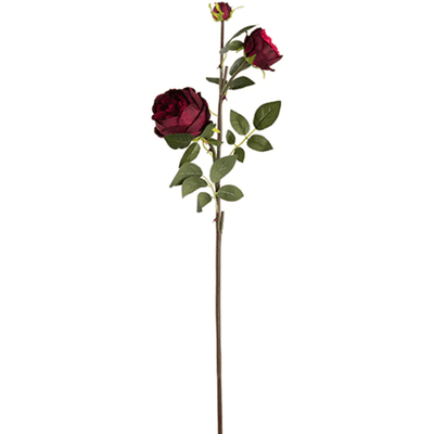 Elizabeth Garden Rose Spray (Burgundy) 75cm (Eleganza) 1pc