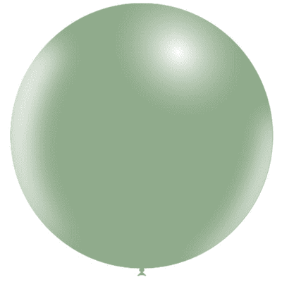 Eucalyptus 18 inch Balloons - Decotex 18