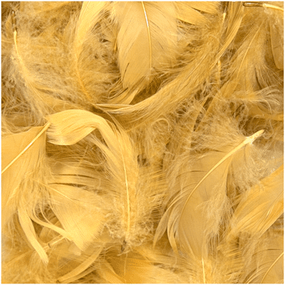 Gold Feathers for Balloons - Eleganza 50g Bag 1PK