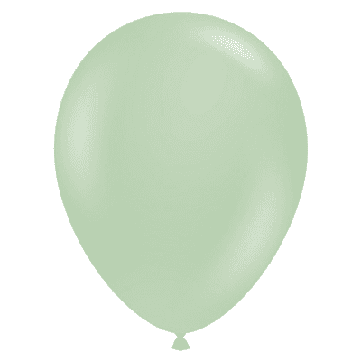 Meadow 11 inch Balloons - 11