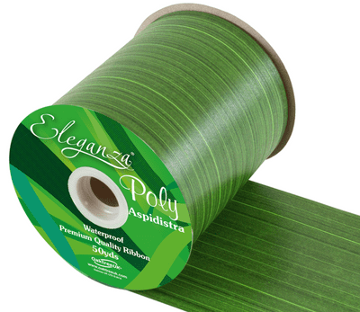 Mint Aspidistra Poly Ribbon 100mm x 50 yds (Eleganza) 1pc