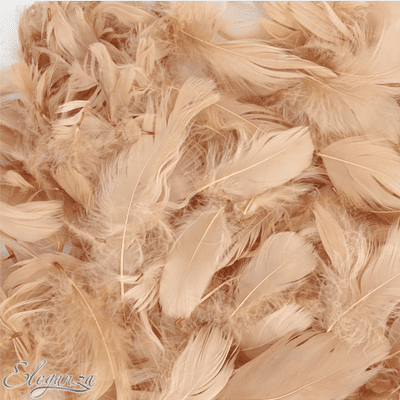 Natural Feathers for Balloons - Eleganza 50g Bag 1PK