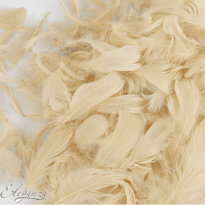Pampas Feathers for Balloons - Eleganza 50g Bag 1PK