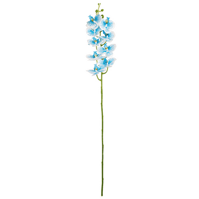 Phalaenopsis Orchid (Blue & White) 97cm (Eleganza) 1pc