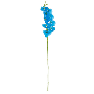 Phalaenopsis Orchid (Bubblegum Blue) 97cm (Eleganza) 1pc