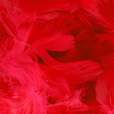 Red Feathers for Balloons - Eleganza 50g Bag 1PK