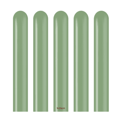 Retro Eucalyptus 260Q Balloons - Kalisan Modelling Balloons 100pcs