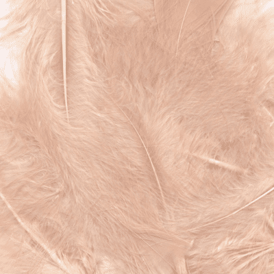 Rose Gold Feathers for Balloons - Eleganza 50g Bag 1PK