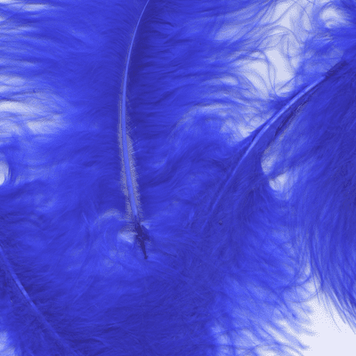 Royal Blue Feathers for Balloons - Eleganza 50g Bag 1PK