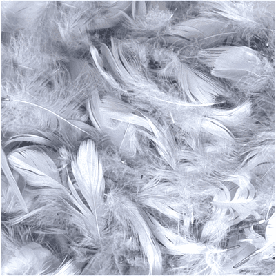 Silver Feathers for Balloons - Eleganza 50g Bag 1PK