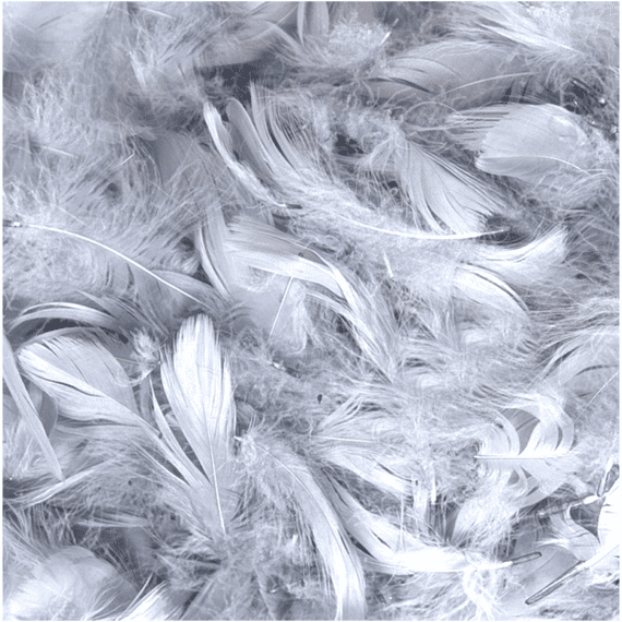 Silver Feathers for Balloons - Eleganza 50g Bag