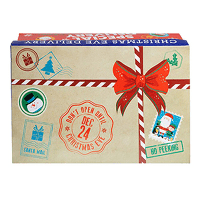 Special Delivery Christmas Eve Box (Medium) 1pc