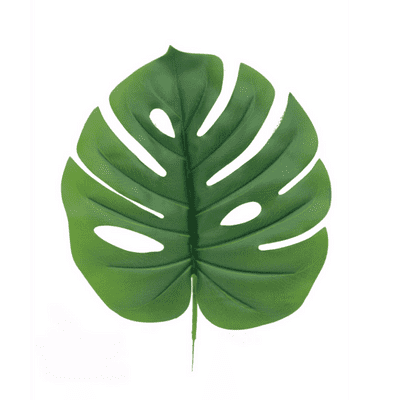 Tarovine Leaf Green 16 Inch (Eleganza) 1pc