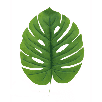 Tarovine Leaf Green 19 Inch (Eleganza) 1pc