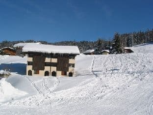 Les Gets - Apartment Joli, sleeps 4/5