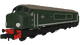 Rapido 948002 BR Class 44, D7 "Ingleborough", plain green