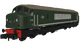 Rapido 948101 Class 45 D120 Plain BR Green