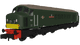 Rapido 948103 Class 45 D63 "Royal Inniskilling Fusilier" BR Economy Green