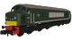 Rapido 948202 Class 46 D182 BR Green With Small Yellow Panels