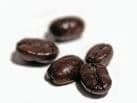 Caffe Tre Venezie Leon D'Oro Beans