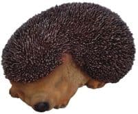 Hedgehog Resin Indoor and Outdoor Ornament Vivid Arts