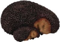 Hedgehog Resin Indoor and Outdoor Ornament Vivid Arts
