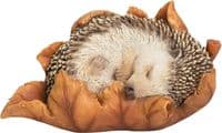 Hedgehog Resin Indoor and Outdoor Ornament Vivid Arts