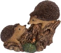 Hedgehog Resin Indoor and Outdoor Ornament Vivid Arts