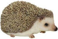Hedgehog Resin Indoor and Outdoor Ornament Vivid Arts