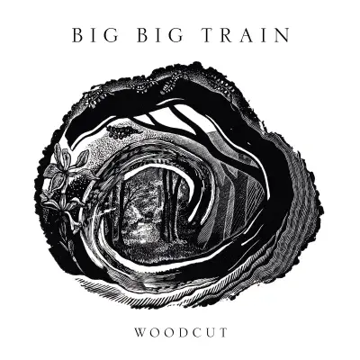 BIG BIG TRAIN 'WOODCUT' Double VINYL LP (2026)