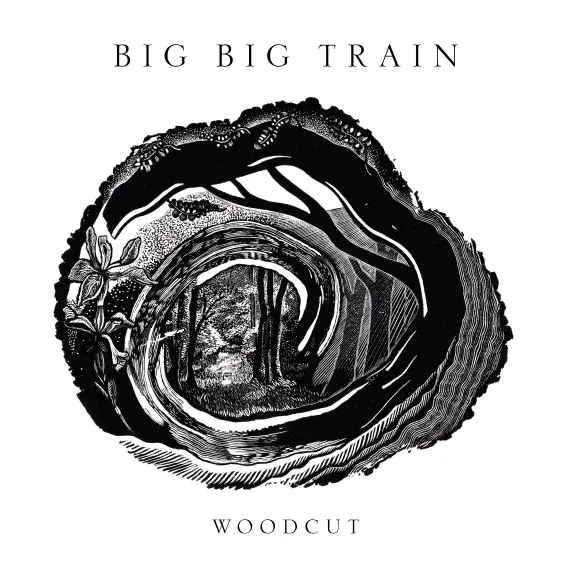 BIG BIG TRAIN 'WOODCUT' Double VINYL LP (2026)
