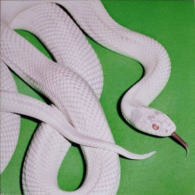 DEFTONES 'Private Music' LP