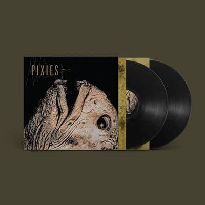 PIXIES 'COMPLETE B SIDES: 1988-97' (Remastered) Double VINYL LP (26th June)