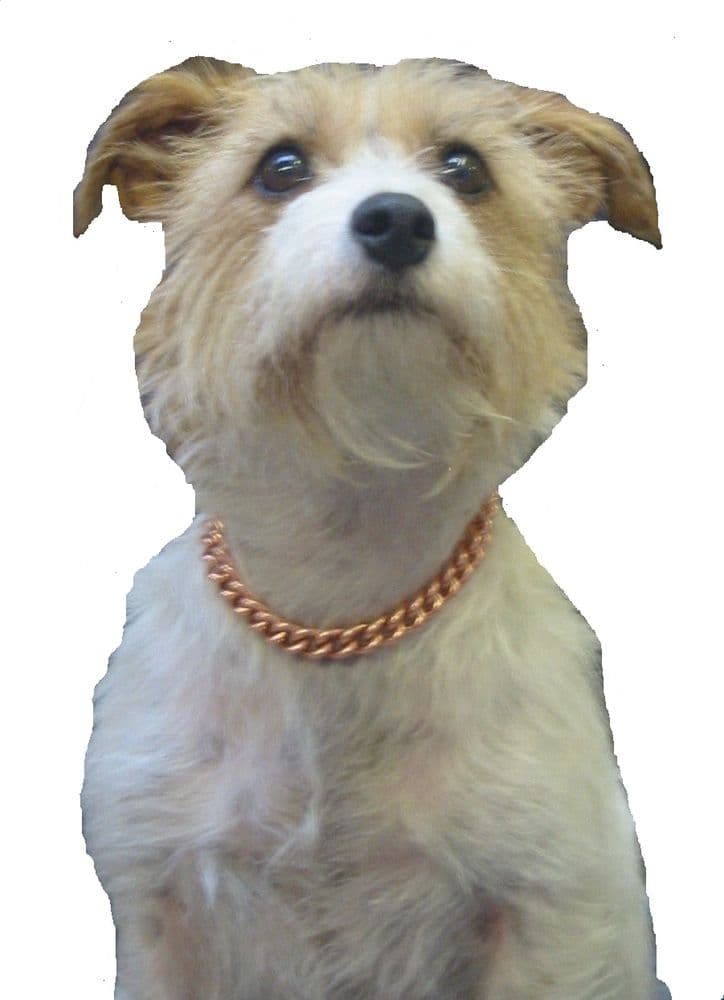 COPPER THERAPY DOG CHAIN COLLAR 6" TO 12" 152MM305MM