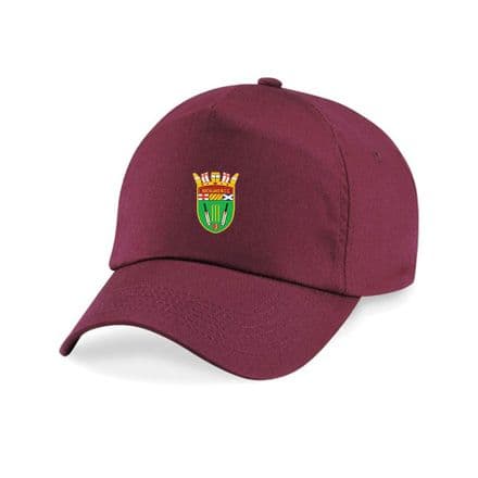 Buckland Monachorum CC Cap