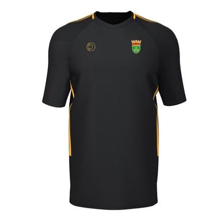Buckland Monachorum CC Training Tee