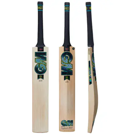 GM Aion 404 Cricket Bat