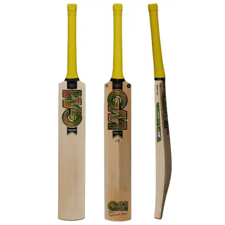 GM Psyche 606 Delta Cricket Bat