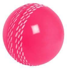 Gray-Nicolls Velocity Pink Ball