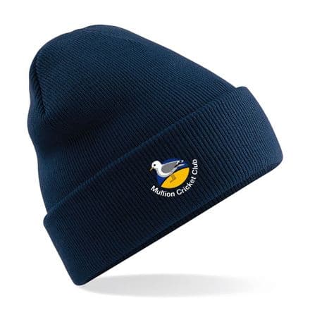 Mullion Beanie