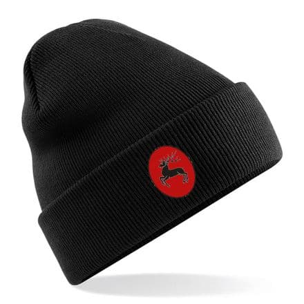 Pencarrow Beanie