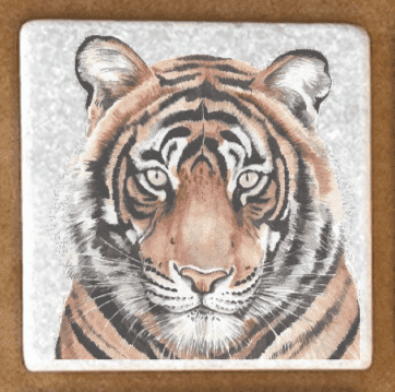 Big Cat Coasters