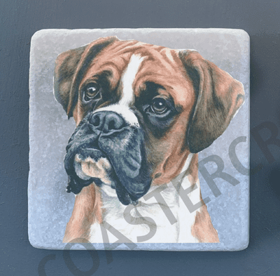 Boxer and Boxer Brindle