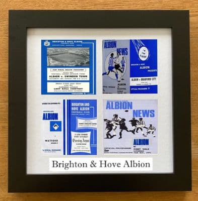 Brighton & Hove Albion