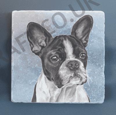 Bulldog  French & English more colours