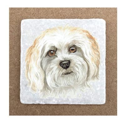 Cavachon