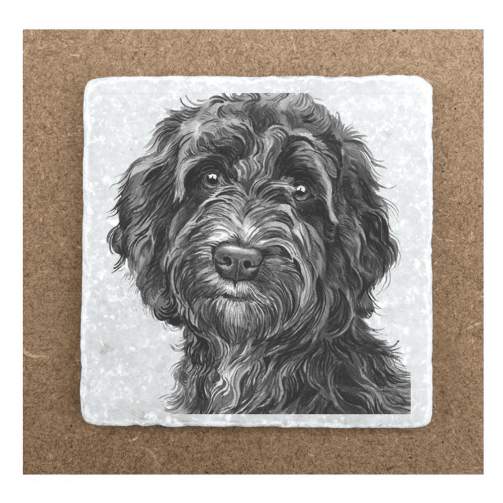 Cockapoo Black Coaster